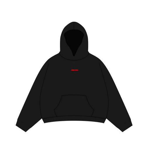 Hoodie OVNI x AMERI World Tour 2025