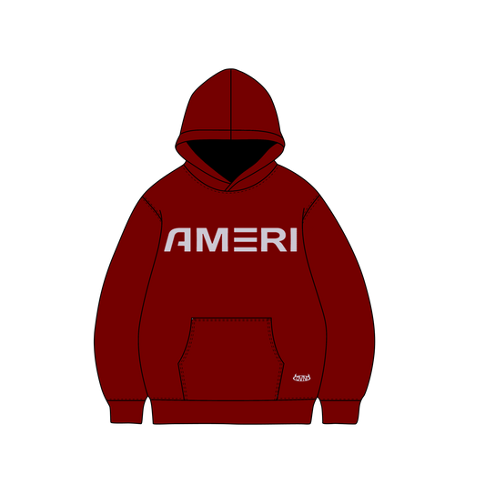 HOODIE OVNI CORP X AMERI